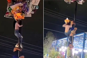 Heart-stopping footage shows a woman plunging from the top of a human tower on a greasy pole at a Mexican festival - and miraculously escaping unscathed, prize in hand.