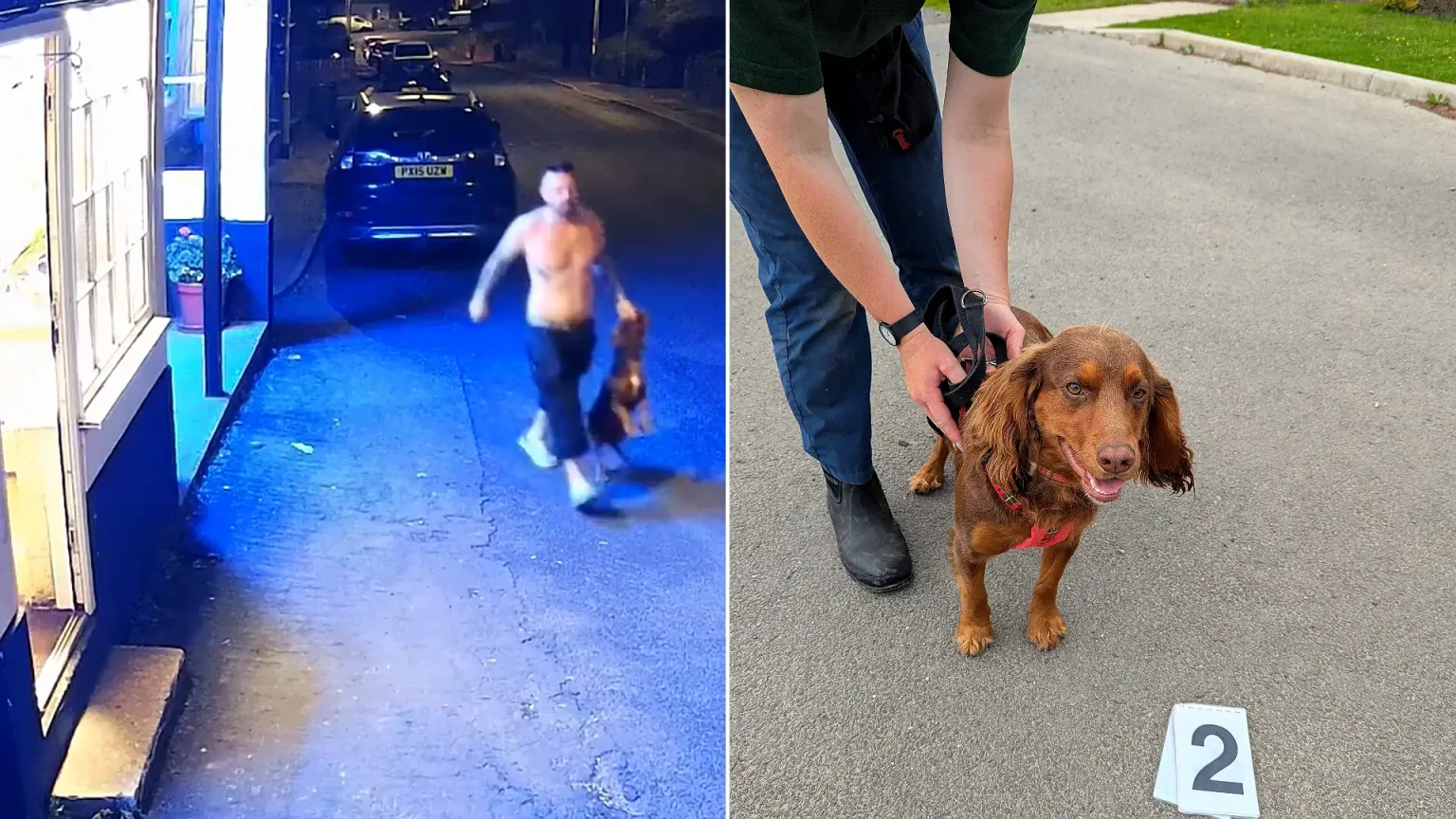 A cruel son beat his dad’s terrified cocker spaniel in the street before trying to stuff the motionless dog into a public recycling bin.