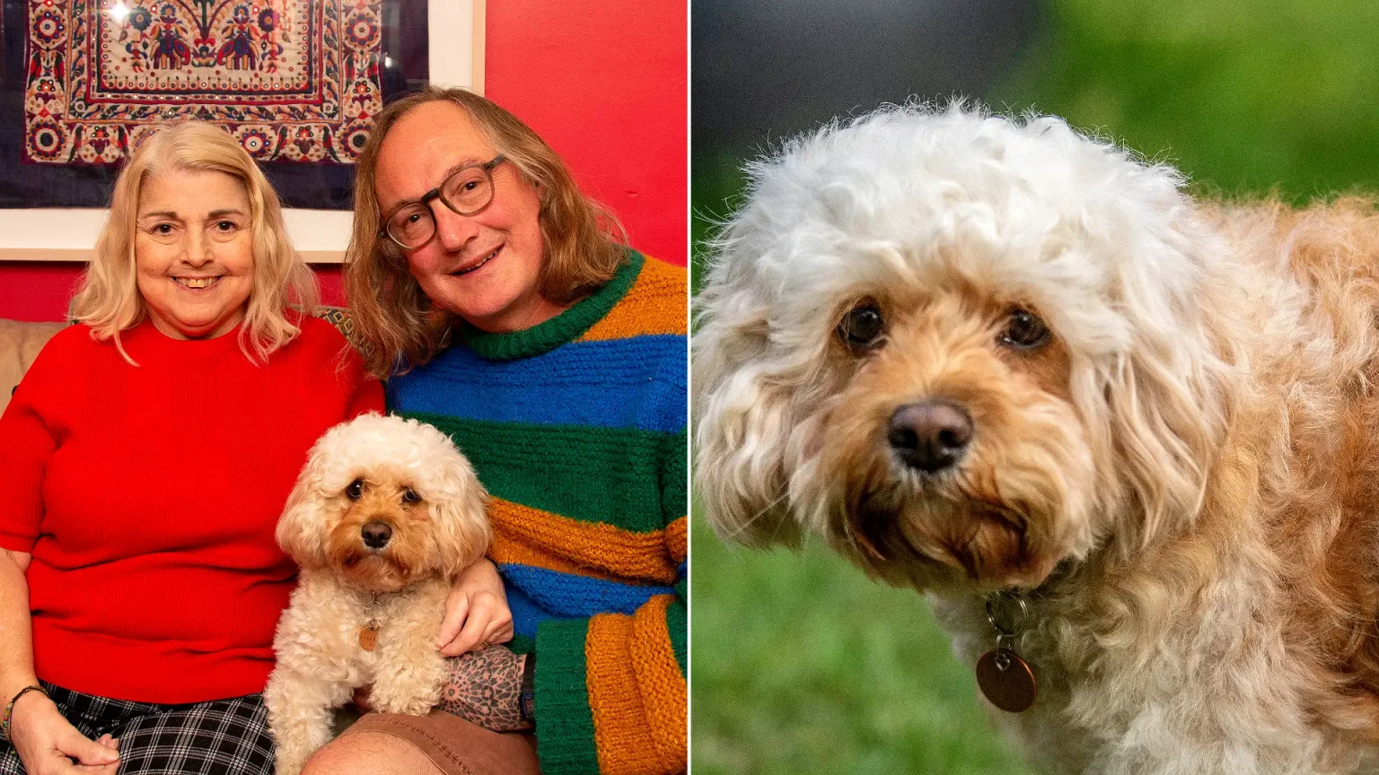 Dog owner suffers gruesome burns rescuing his Cavapoo after hot water bottle explodes - but both make full recoveries. A heartwarming tale of devotion.