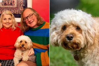 Dog owner suffers gruesome burns rescuing his Cavapoo after hot water bottle explodes - but both make full recoveries. A heartwarming tale of devotion.
