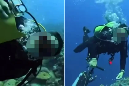 Diving instructor attacks Taiwanese celebrity and attempts to remove mask 30 metres underwater in shocking incident off Palau. Investigation underway.