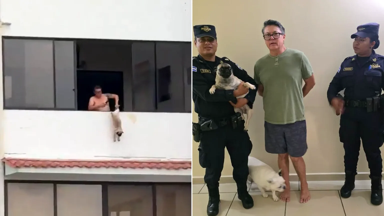 A former professional footballer has been arrested after allegedly dangling a dog by its legs from the balcony of his apartment.