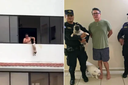 A former professional footballer has been arrested after allegedly dangling a dog by its legs from the balcony of his apartment.