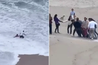 A group of beachgoers formed a human chain to rescue a woman swept out to sea by a huge wave while reading near the shore.