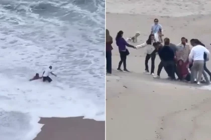 A group of beachgoers formed a human chain to rescue a woman swept out to sea by a huge wave while reading near the shore.