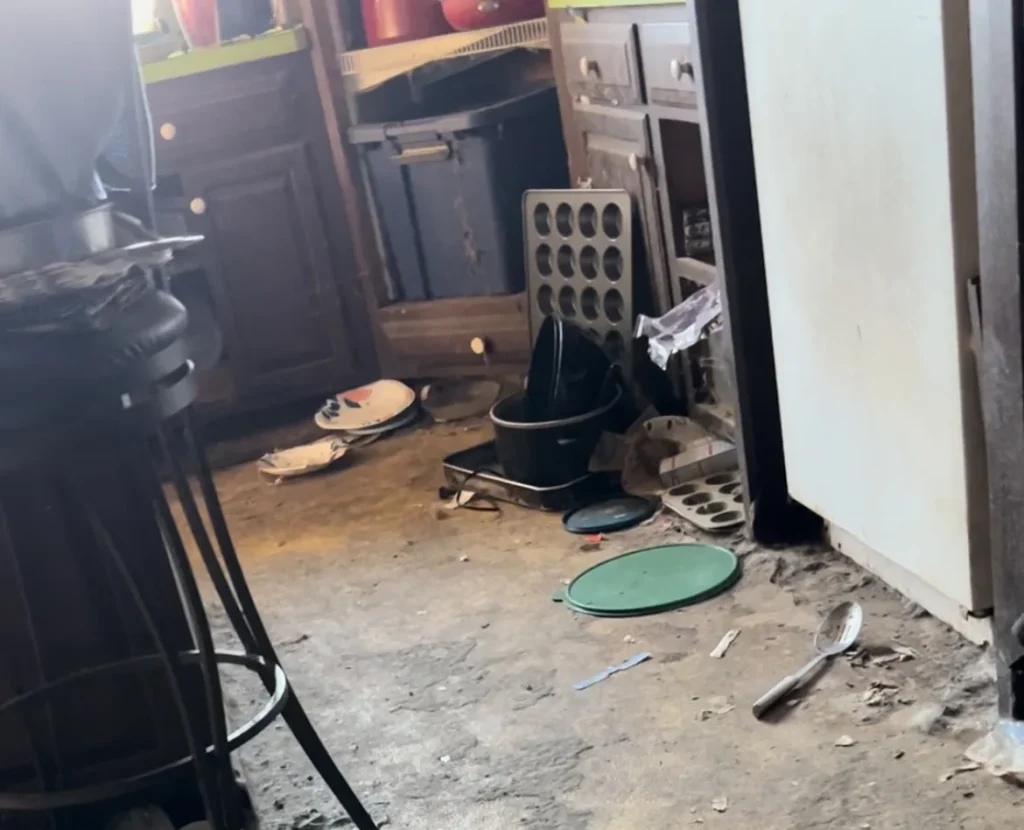 Woman reveals horrifying childhood in house with 70+ animals, suffering flea bites, filth and years of bullying. Now she advocates for children of hoarders.