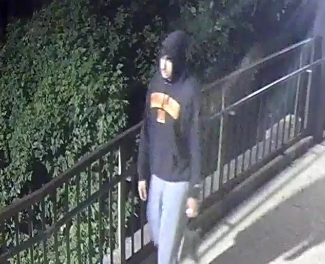 Missing student Dilan Shaan Ashar emerges from woods after six days and asks rescuers 'Are you looking for me?' - stunning end to massive search operation.