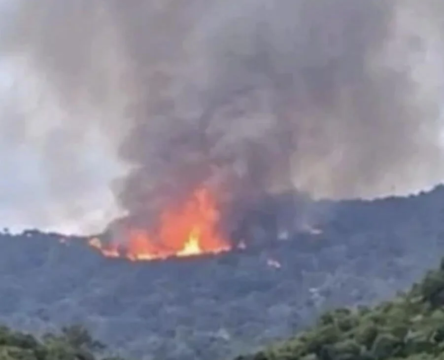 Investigators probe whether Mexican plane crash that killed two pilots was deliberate attack linked to narco gang monitoring governor's flights.