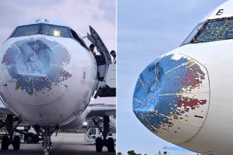 A passenger jet sustained a damaged nose and cockpit after flying into a severe hailstorm. Passengers and crew escaped unharmed after their plane was battered by the storm.