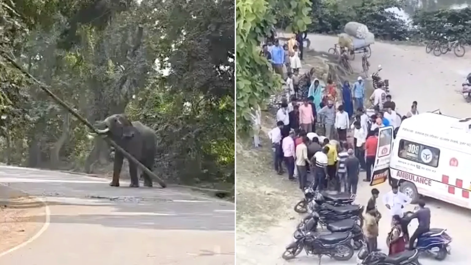 An elephant lifted its handler by its trunk and hurled him to the ground after going on a rampage as stunned locals prepared for a religious festival.