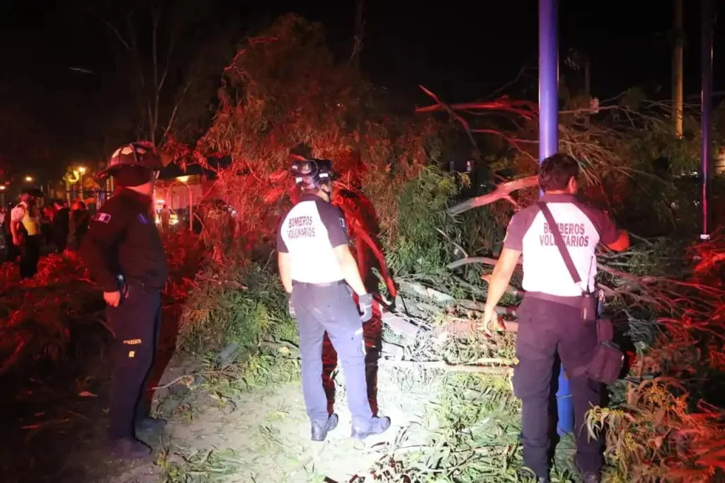Seventeen people injured when a massive eucalyptus tree crashed onto an outdoor Zumba class in Guatemala City, leaving victims with fractures and other injuries.