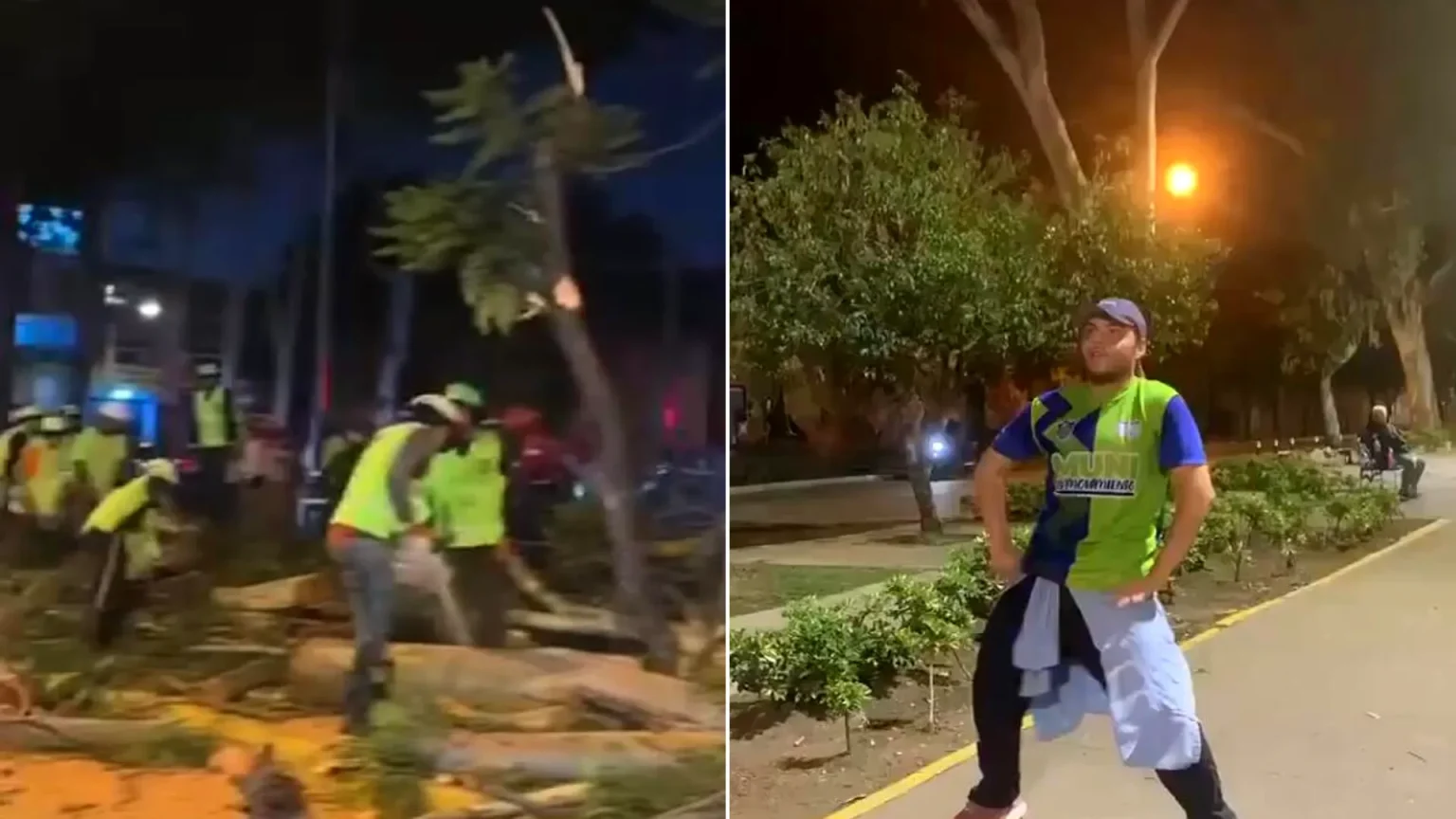 Seventeen people injured when a massive eucalyptus tree crashed onto an outdoor Zumba class in Guatemala City, leaving victims with fractures and other injuries.
