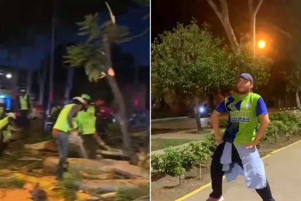 Seventeen people injured when a massive eucalyptus tree crashed onto an outdoor Zumba class in Guatemala City, leaving victims with fractures and other injuries.
