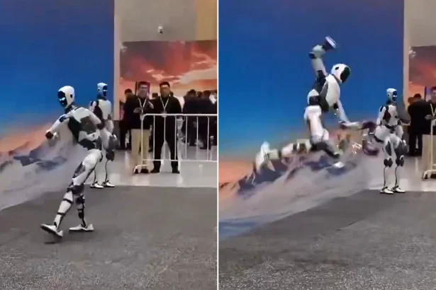 A robot spectacularly lost its leg during a public demonstration just one day after its official launch. The H2-X machine, marketed as the ‘Kung Fu Legend: Guardian’.