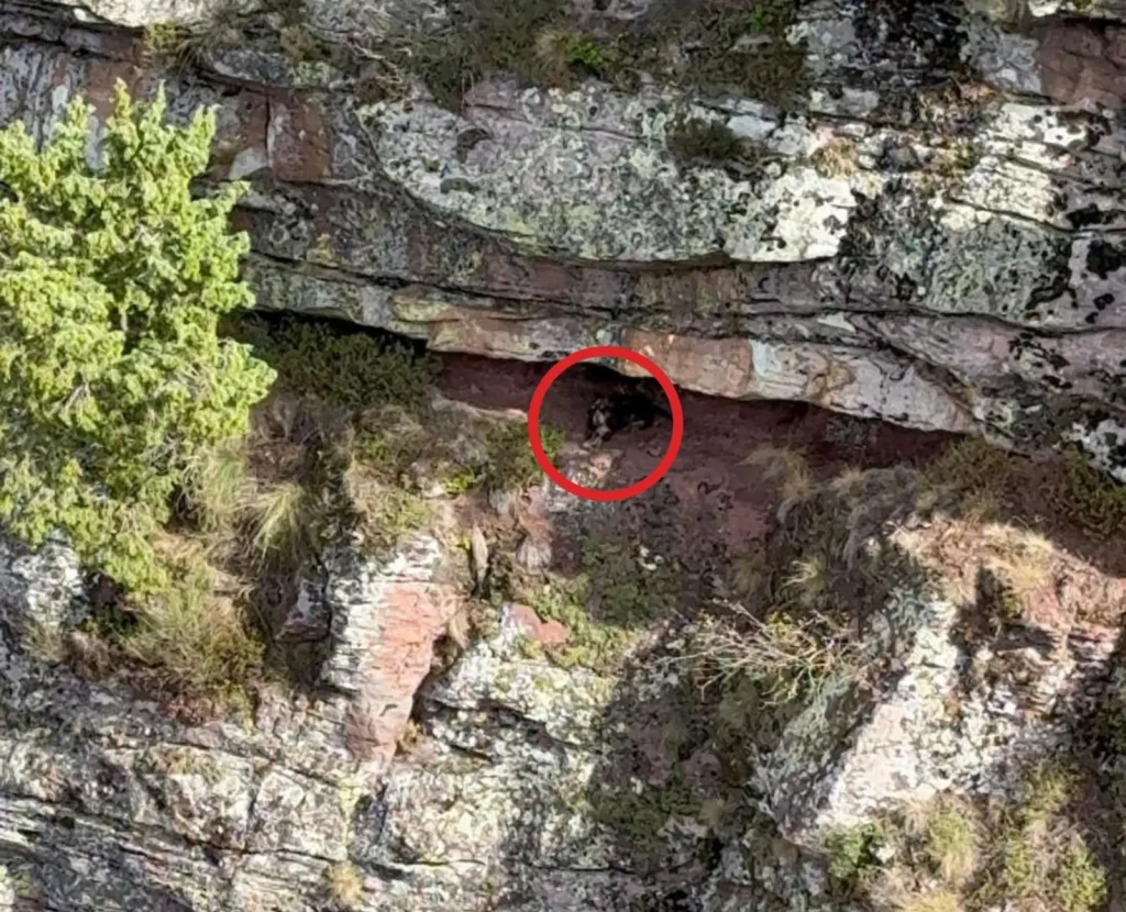 A stranded dog was dramatically rescued from a dangerous rocky ledge in Spain by helicopter. The pooch was safely recovered and reunited with its relieved owners.