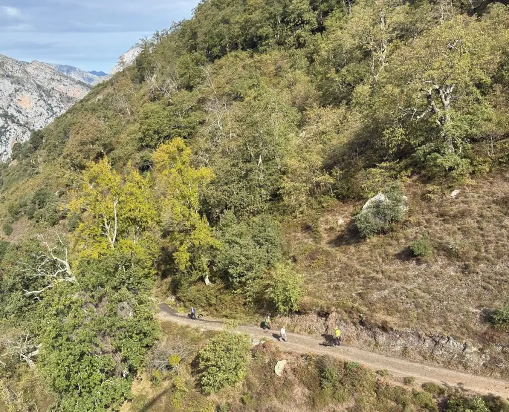 A stranded dog was dramatically rescued from a dangerous rocky ledge in Spain by helicopter. The pooch was safely recovered and reunited with its relieved owners.