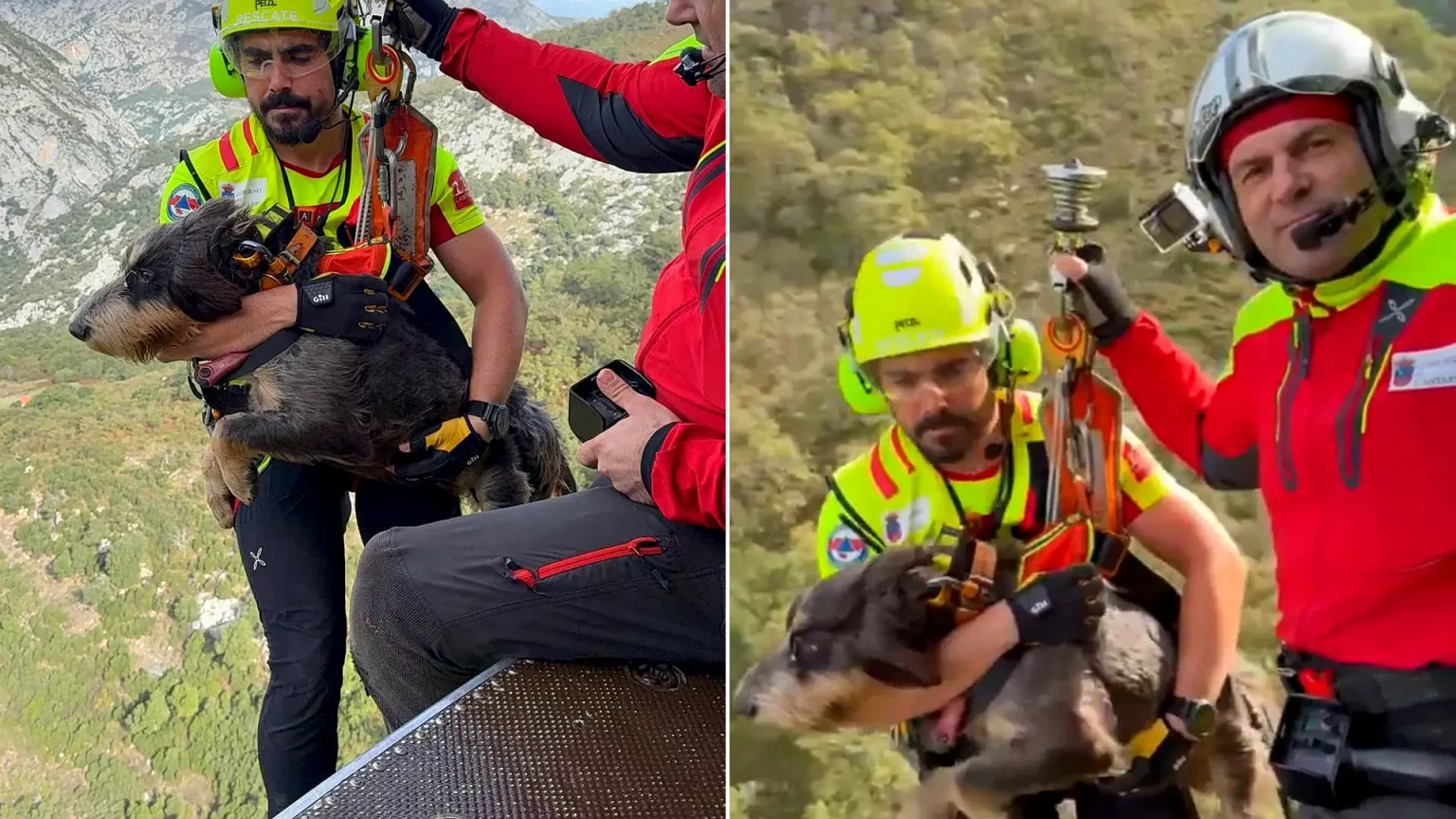 A stranded dog was dramatically rescued from a dangerous rocky ledge in Spain by helicopter. The pooch was safely recovered and reunited with its relieved owners.