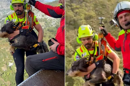 A stranded dog was dramatically rescued from a dangerous rocky ledge in Spain by helicopter. The pooch was safely recovered and reunited with its relieved owners.