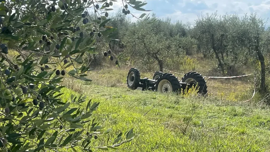 A 15-year-old boy was crushed to death when his grandfather’s tractor overturned during a joyride. Leonardo Accioli was spending the evening with friends at his.