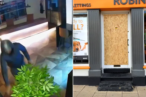 Two estate agents hit in coordinated break-ins just 18 minutes apart in Dunstable. Laptop stolen in overnight raid caught on CCTV. Police investigating.