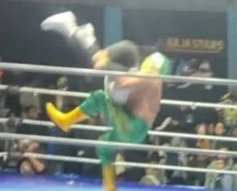 Veteran wrestling referee Gerardo Germán Pineda, 75, dies after being struck with banned piledriver move during lucha libre bout in Mexico. Wrestler arrested.