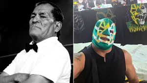 Veteran wrestling referee Gerardo Germán Pineda, 75, dies after being struck with banned piledriver move during lucha libre bout in Mexico. Wrestler arrested.