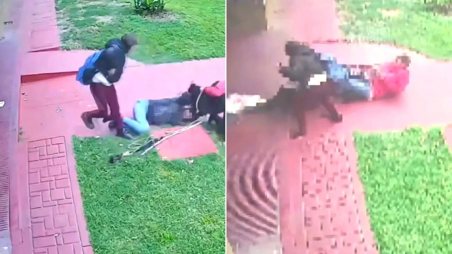 A woman managed to survive a savage dog attack after she grabbed the vicious pooch by the testicles.