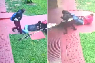 A woman managed to survive a savage dog attack after she grabbed the vicious pooch by the testicles.